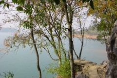 DSC00008-6