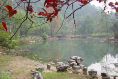DSC00015-4