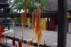 DSC00044-3