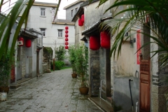 DSC00248