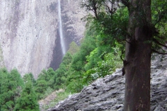 DSC00374-3