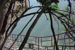 DSC00403-1