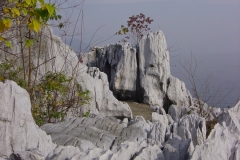 DSC00592-1