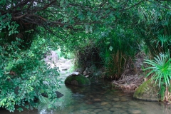 DSC00653