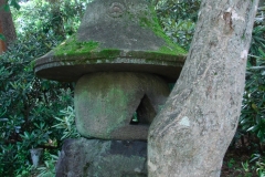 DSC04928