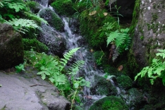 DSC04964