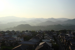 DSC05054