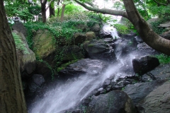DSC05131