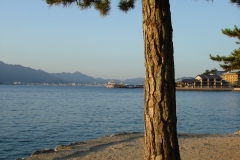 DSC05373