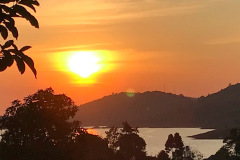 IMG_3880
