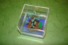DSC00301