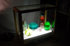 DSC00331-1