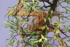 SAMSUNG CSC