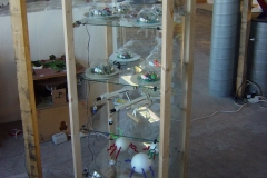 DSC00242-1