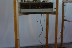 DSC00247-1