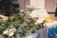 analoge foto 175